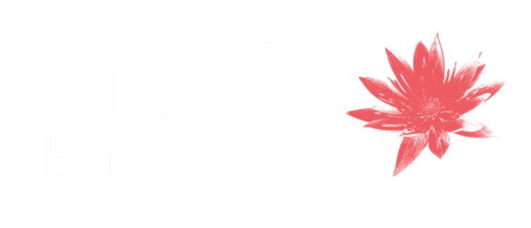 Nicté-Actual Punt